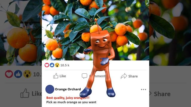 02 orange orchard facebook ad square