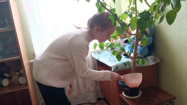 Помощь в быту