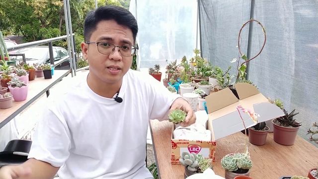 Hindi Ko Alam Kung Korean Ang Nabili Kong Succulents / New & Old Varieties Plant Haul