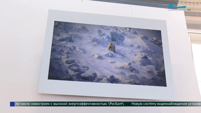 Выставка «Медвежьи миры» японского фотографа-натуралиста Тосидзи Фукуда