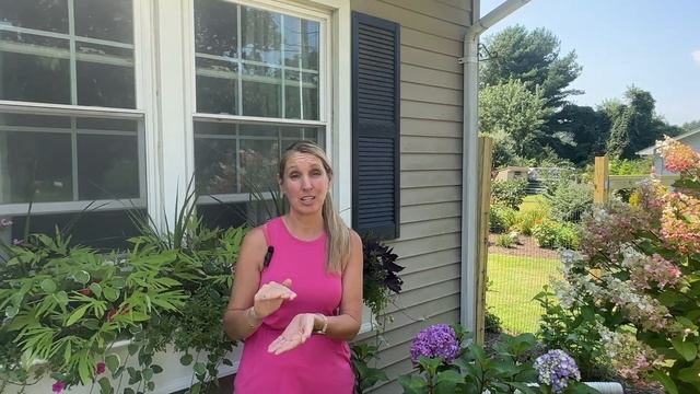 How to Change the Color of Your Hydrangea Flowers