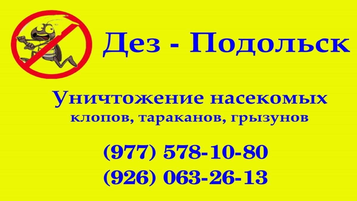 Травить клопов холодный туман