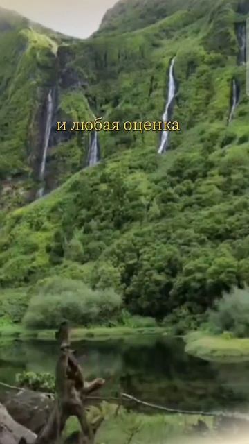 1000011625.mp4