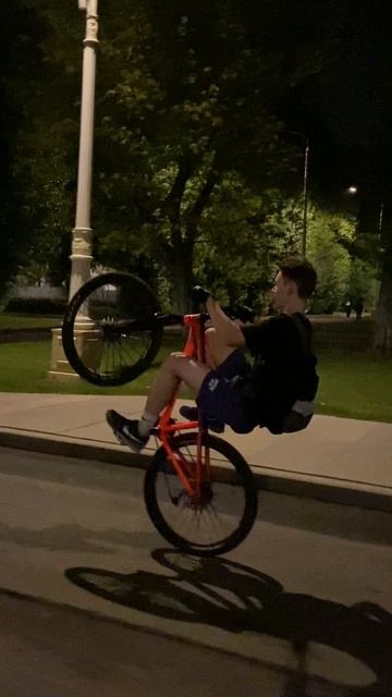 Оказывается на велосипеде есть тормоза... #рек #wheelieeveryday #стант #велосипед #трюки