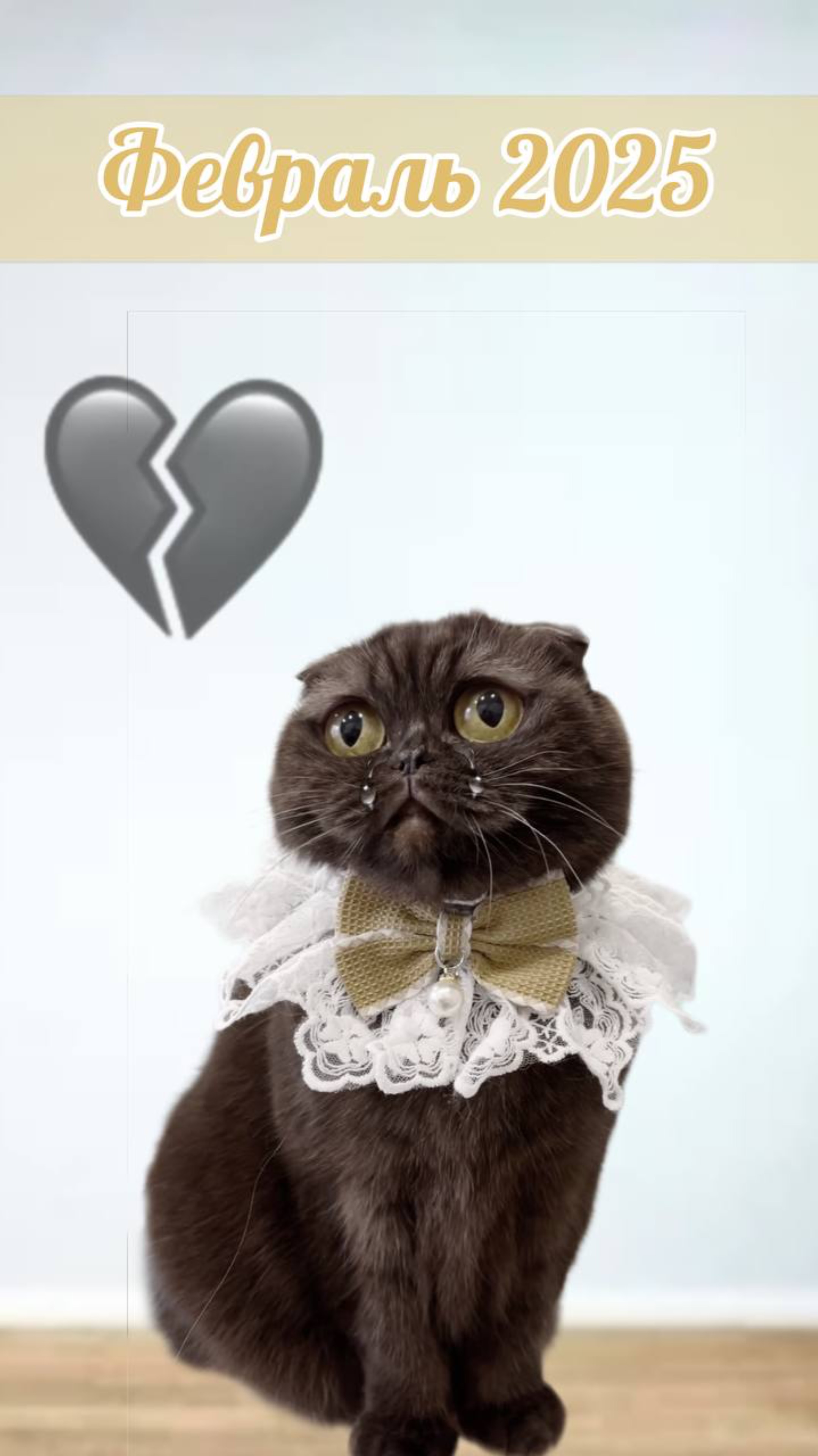 Спустя год #кот