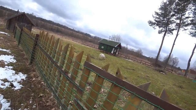 Один день из жизни в деревне