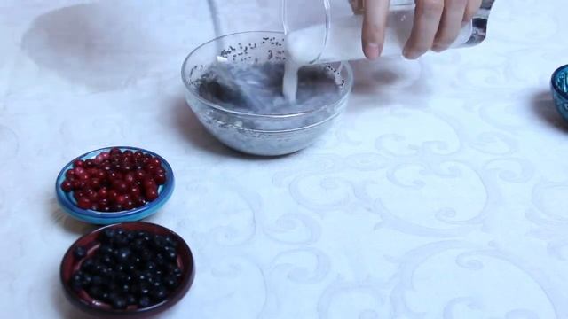 Budincă de chia cu lapte de cocos și fructe de pădure 🍒 Rawmona