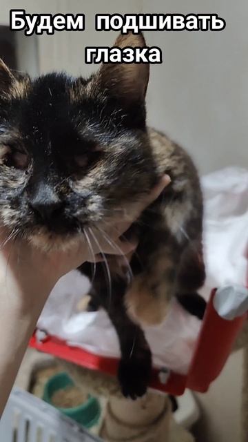 Едем в клинику в Ставрополь.