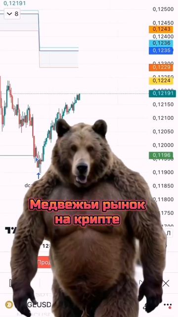 Медвежьи рынок на крипте