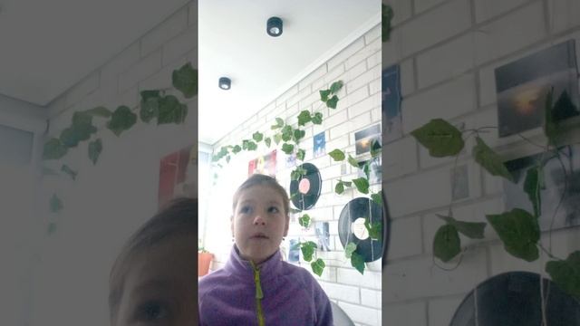 обзор где можно найти мой аккаунт