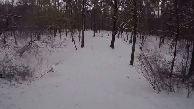 Химкинский лес 22.02.2016