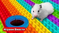 Вместе с Хомяком выбираемся из сложного лабиринта с ловушками ! Видео для детей