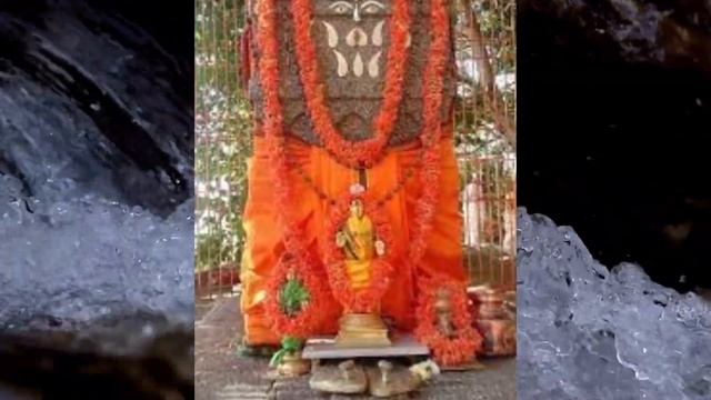 Tunga teeradi rajipa yatiya- Shri Guru  Abhinava janardana vittala