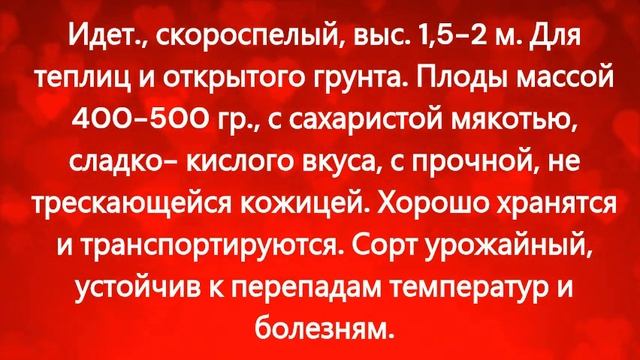 КАТАЛОГ ТОМАТОВ НА 2024 г. Часть 7. г. Киров