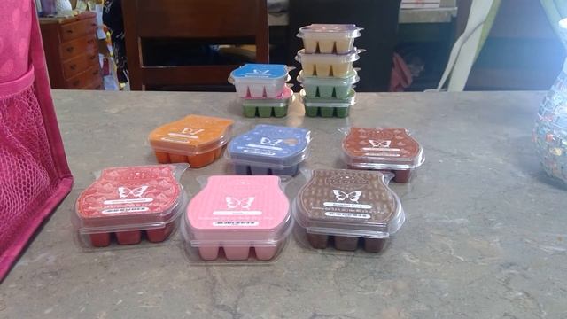 Scentsy haul for August 2019
