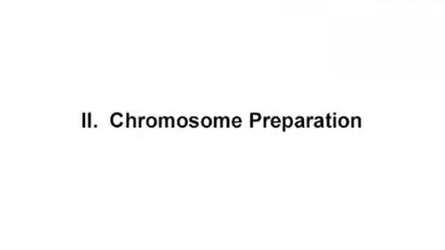 Fast Air-Dry Dropping Chromosome Preparation Method Suitable For FISH In Plants l Protocol Preview