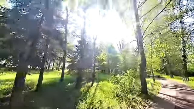 Моей мартышке все сгодится! - смеялся муж, взяв у босса швабру в подарок жене… Но смеяться было рано