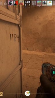 Zeus25021807