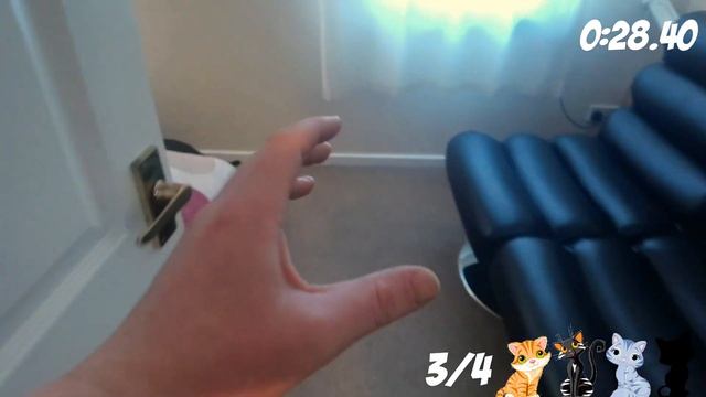 Grab The Cat! Level 2