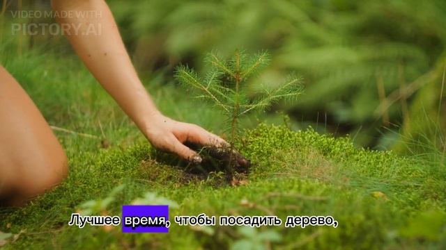 Лучшее время