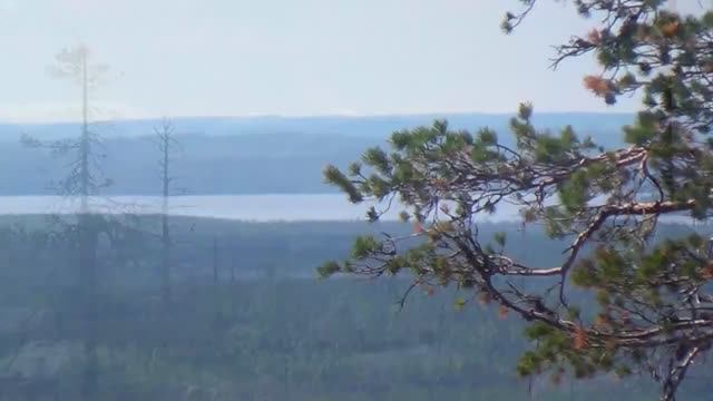 Vottovaara 2020 год