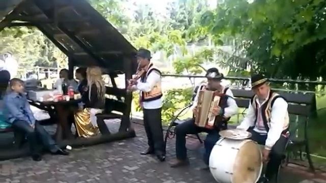 гурт незабутка довге увиванець