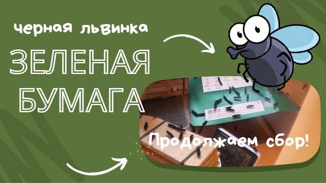 Зеленый цвет для черной львинки