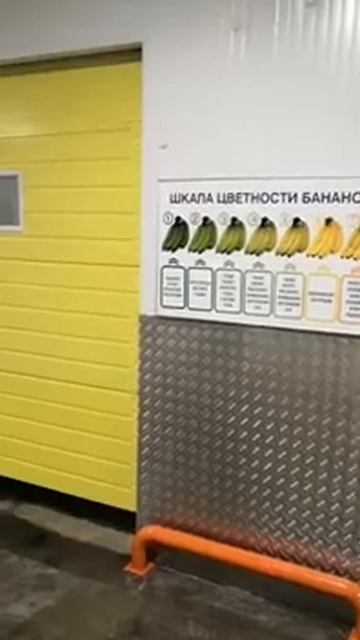 Комплекс по дозариванию бананов (1)