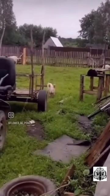 Жизнь другая, привычки те же!