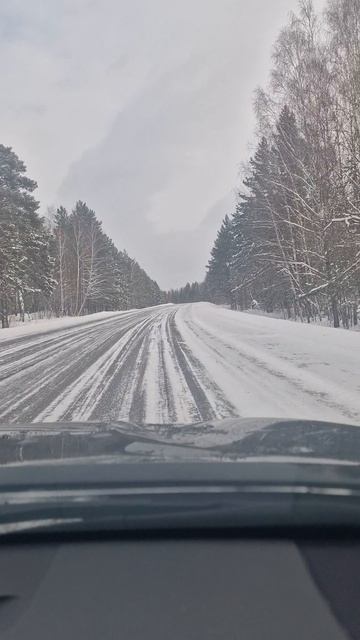 Эх, дорога!  #снег #дорога #сибирь #природа