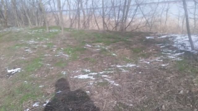 Зелёная трава со снегом «Са́мый лу́чший день»