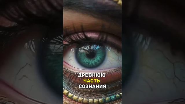 Генные ключи. Ричард Радд.