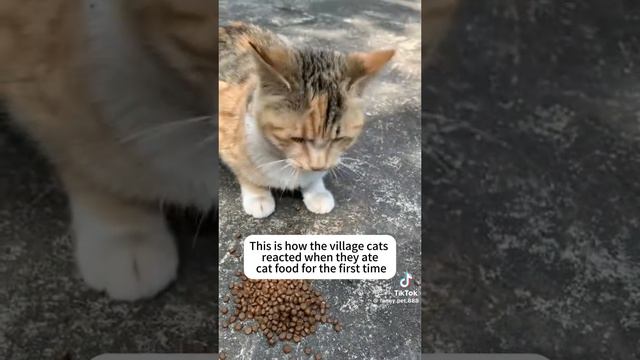 1000010111.mp4
