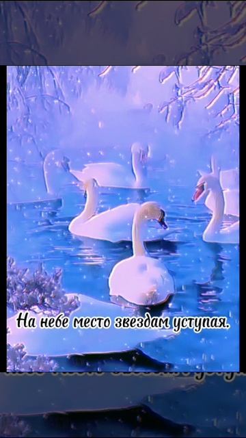 Добрый вечер 4