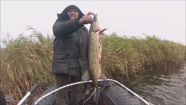 Осенняя рыбалка на щуку с ночевкой. Приготовили плов в казане