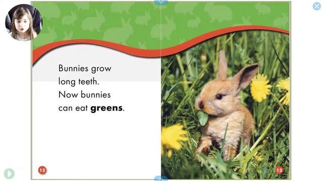 Read Aloud Books For Children - 'Bunnies: Watch Animals Grow" by Colleen Sexton