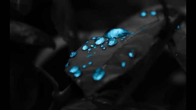 Berghain techno set june 2019 - C. Dottori