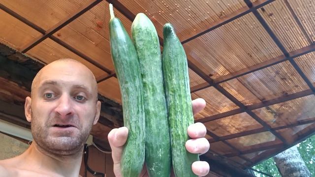 хейтерам в очко большие агурцы в место банана🤣🤣🤣🤣🤣