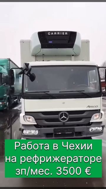 Работа на чиле!