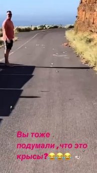 Крысы по ветру