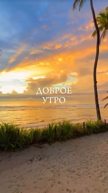 #доброеутро #сдобрымутром