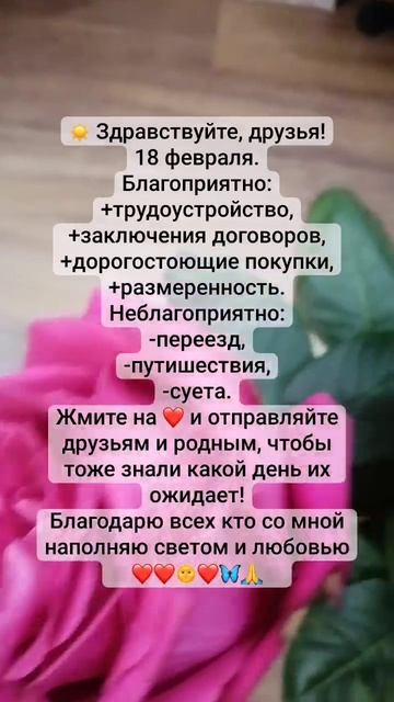 VID_20250218_081706_925.mp4