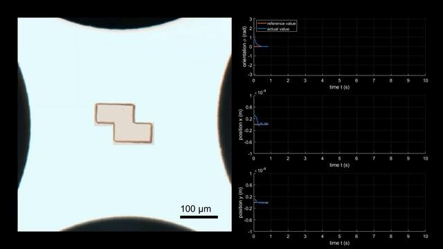 Position and orientation control at micro and meso scales using dielectrophoresis