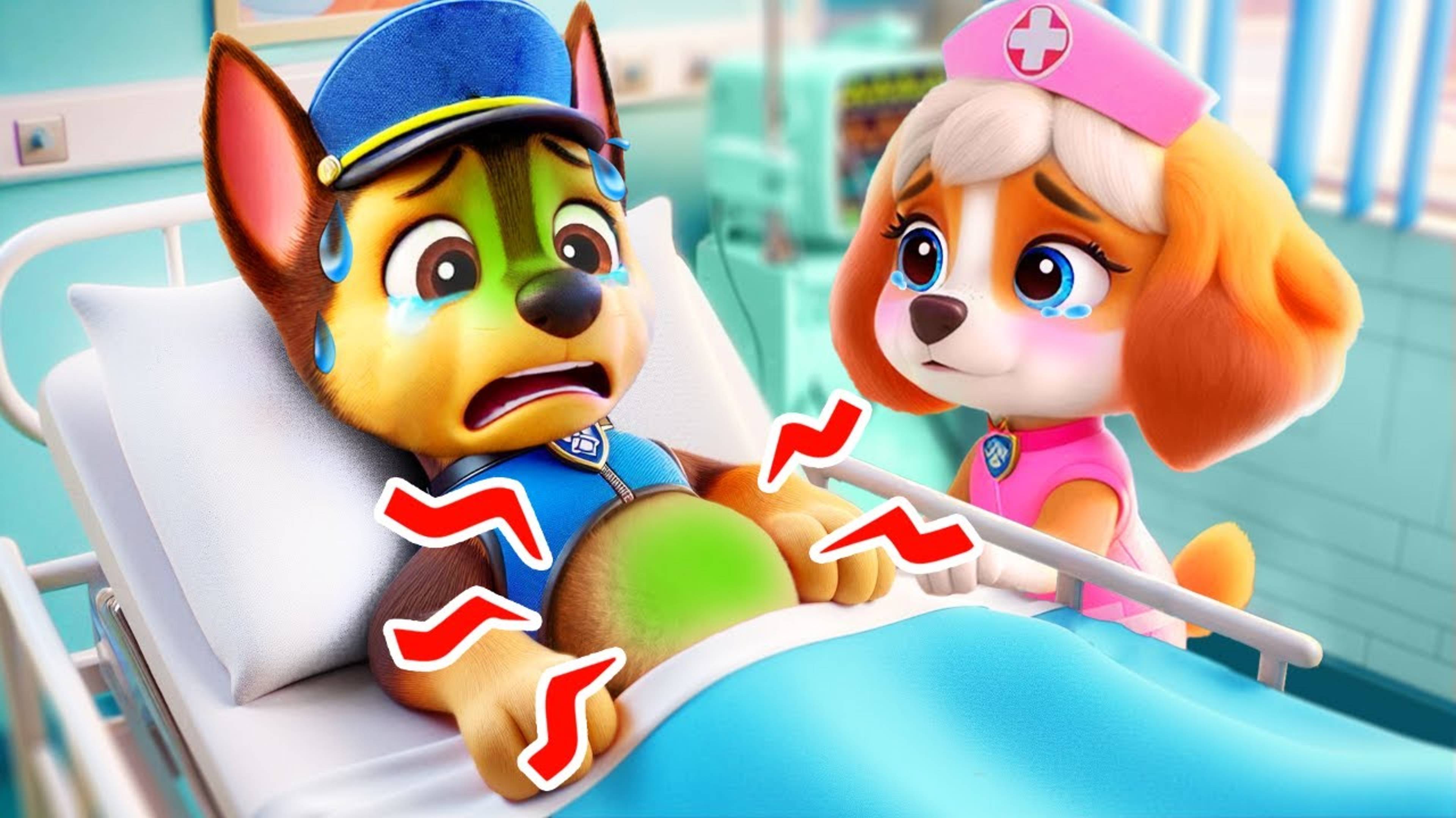 Что Случилось?! Почему ЧЕЙЗ В Больнице? | Щенячий Патруль
#щенячий патруль #мультик #детям