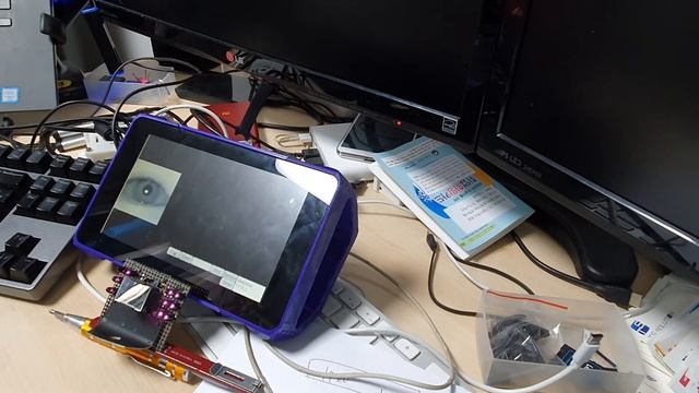 iris recognition on raspberry pi