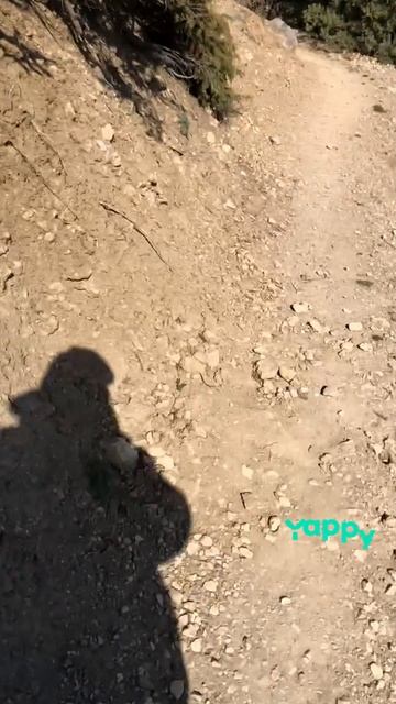 Бухта Ласпи. Крым
