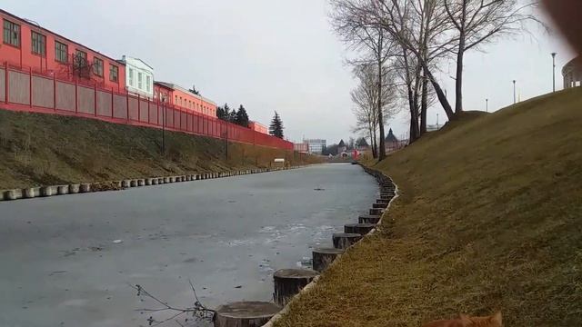 5 марта. Рыжик