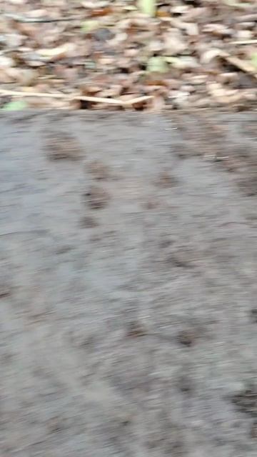 чугунное литьё,плита
