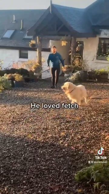 Dog friendly holiday cottages Lake of Menteith,  Loch Lomond