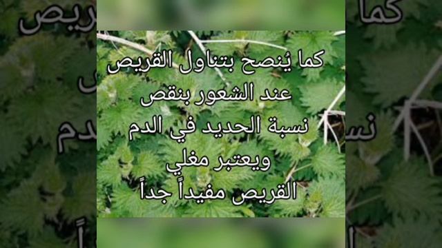 نبات بألف دواء لألف داء